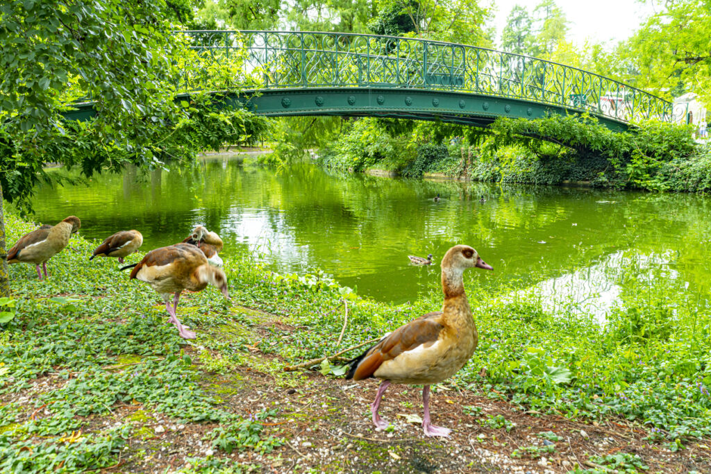 bordeaux public park, jardin public